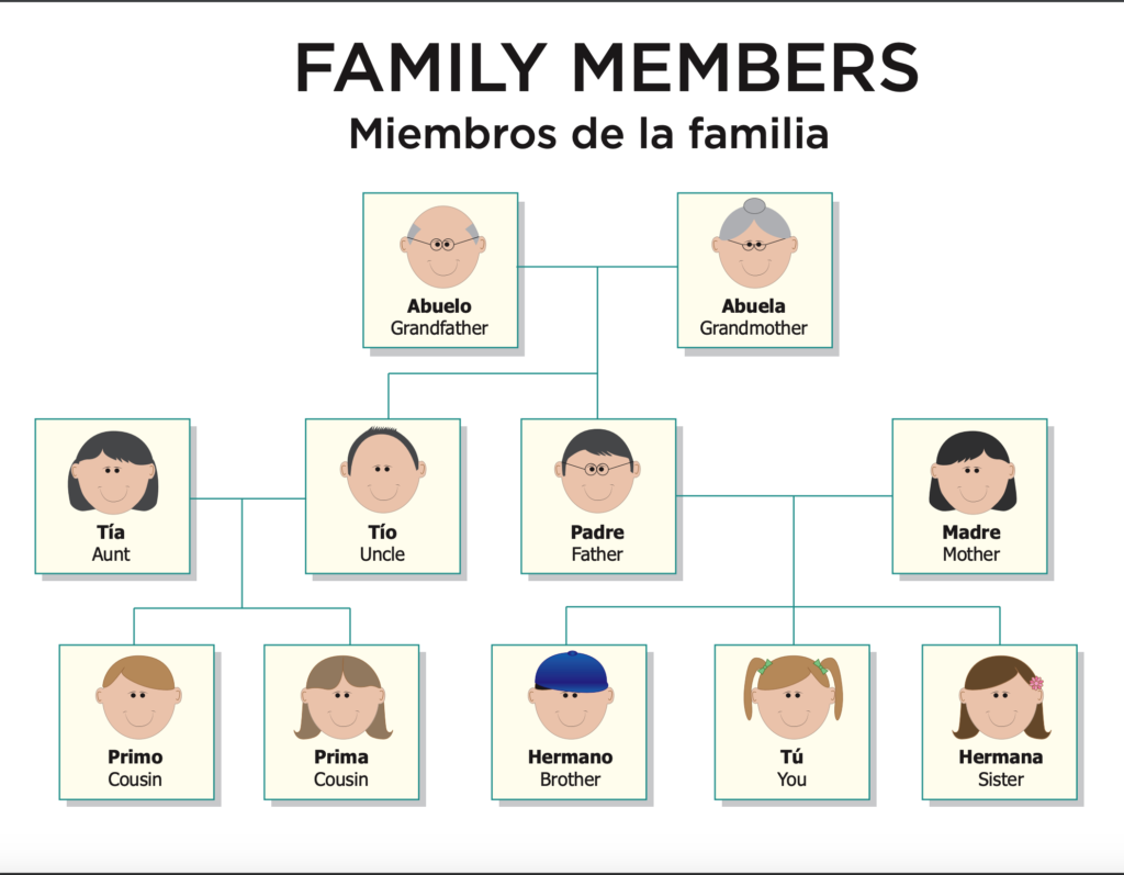 Family Members In Spanish Learn Spanish Online With Yohenia